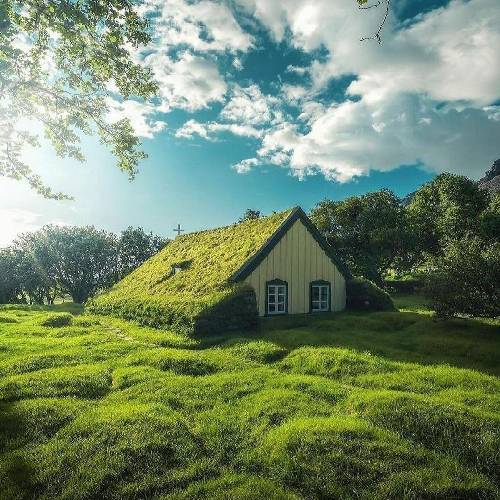 وحید مرادی می کل زندگی سر دلسوزی بورده ندومه که چیسه